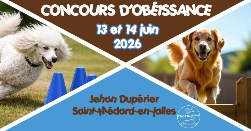 Concours d'obéissance