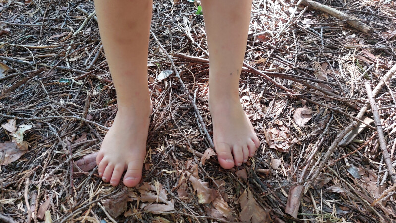 Comment marcher dans la nature ?