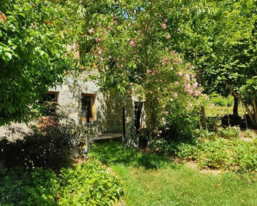 Visite commentée d'un jardin forêt