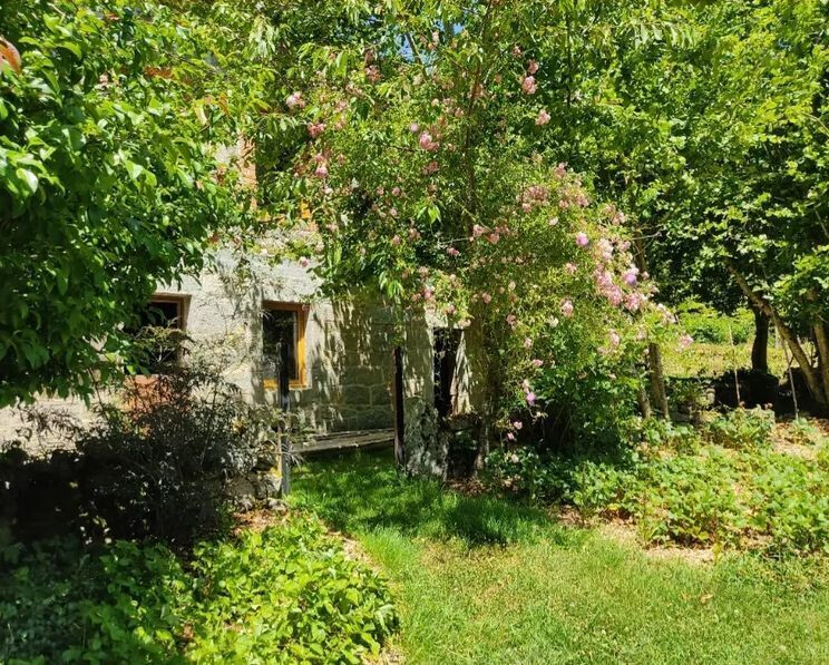 Visite commentée d'un jardin forêt