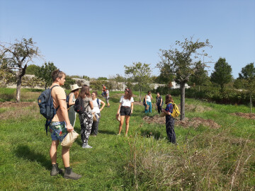 Initiation à la botanique