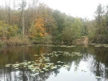 À la découverte des zones humides