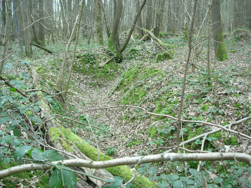 Sur les traces de la Grande Guerre en Forêt régionale de Montgé
