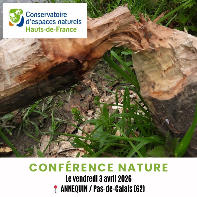 Conférence sur le Castor d’Europe