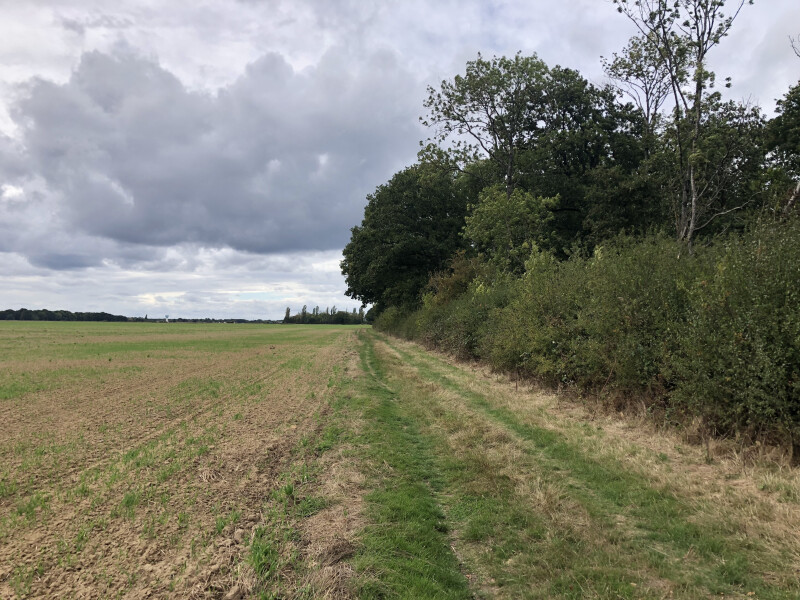 Comment fonctionnent les sols?