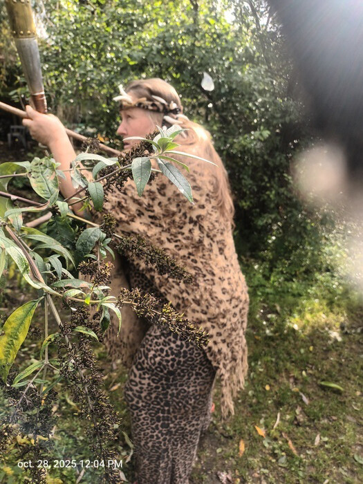 Allo police secours néolithique j'écoute