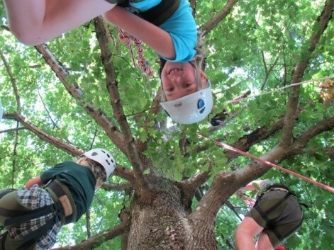 Grimpe d'arbres en forêt régionale de Rougeau : découverte du Footlock