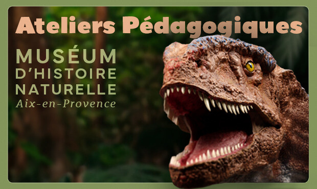 Programme des ateliers du Muséum d’Histoire Naturelle - Vacances Scolaires de Printemps