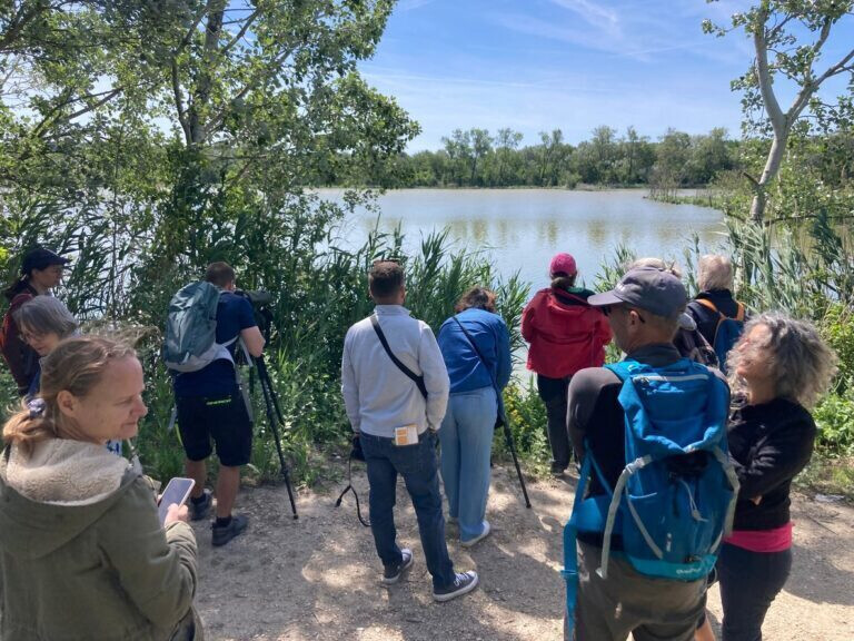 Sortie nature dans les marais de Beauchamp