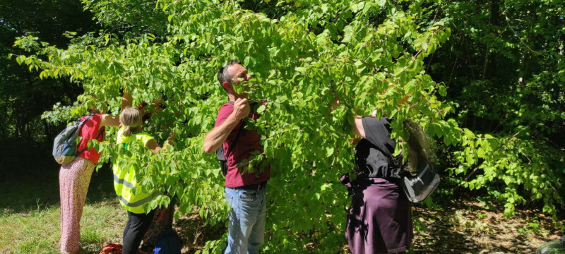 A la découverte des fruits d'antan : jeu de pistes et atelier cuisine