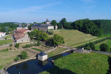 Découvrez le parc du château de l'Hermenault et ses platanes remarquables