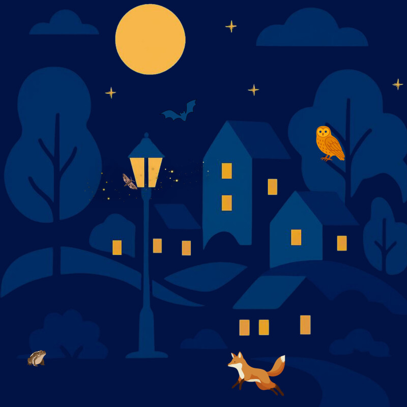 Atelier biodiversité et pollution lumineuse