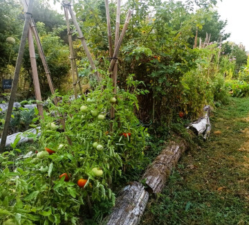 Visite d'un jardin nourricier