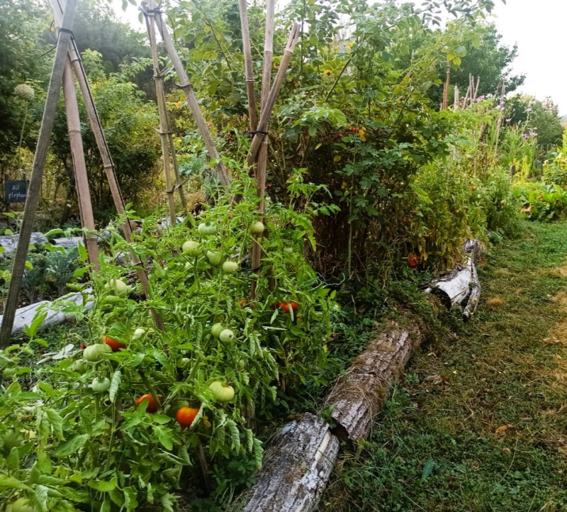 Visite d'un jardin nourricier