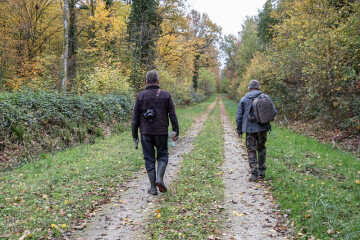 Escapades : Randonnée découverte dans la forêt du Der