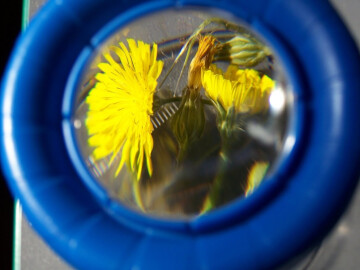 Rendez-Vous aux Jardins au Colibri Valence - Découverte de la Nature en Ville !