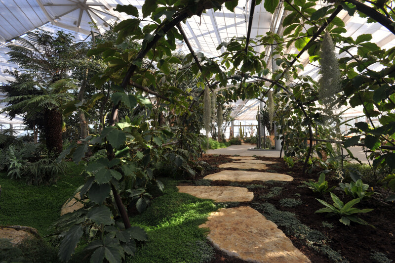 Exposition régionale de bonsaï dans les serres municipales