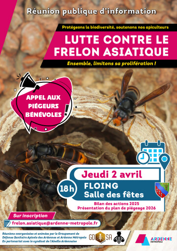 Lutte contre le frelon asiatique