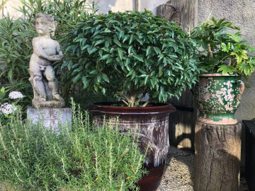 Visite et exposition au jardin/atelier