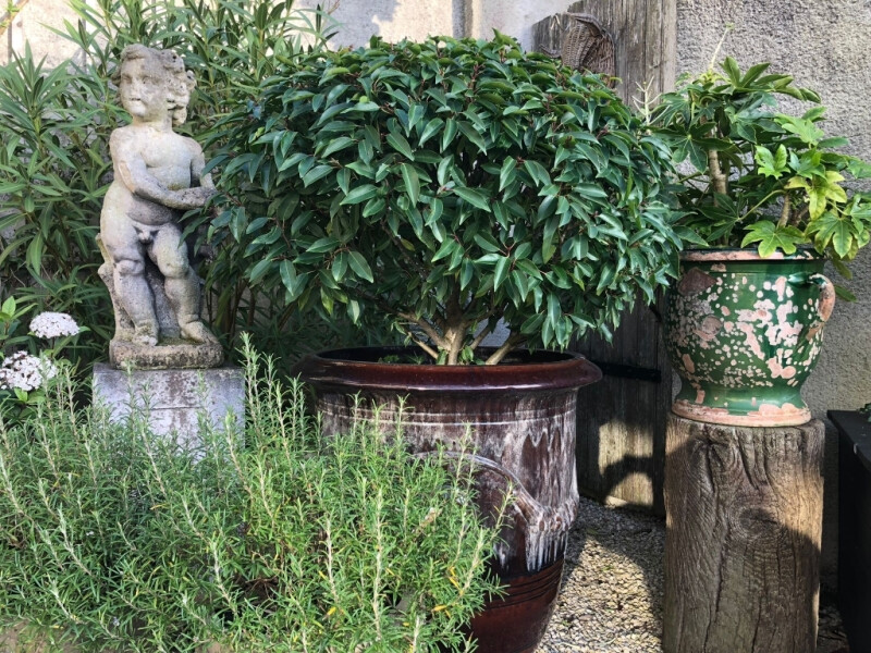 Visite et exposition au jardin/atelier