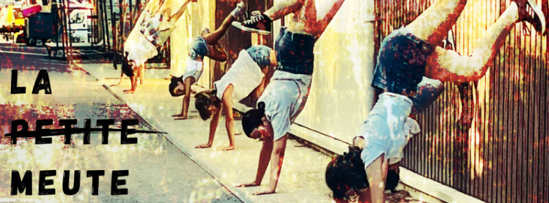 Stage de danse La Meute avec Virginie Coudoulet