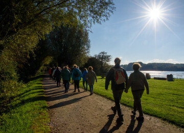 Balade nature - A la découverte des oiseaux du Lac du Héron
