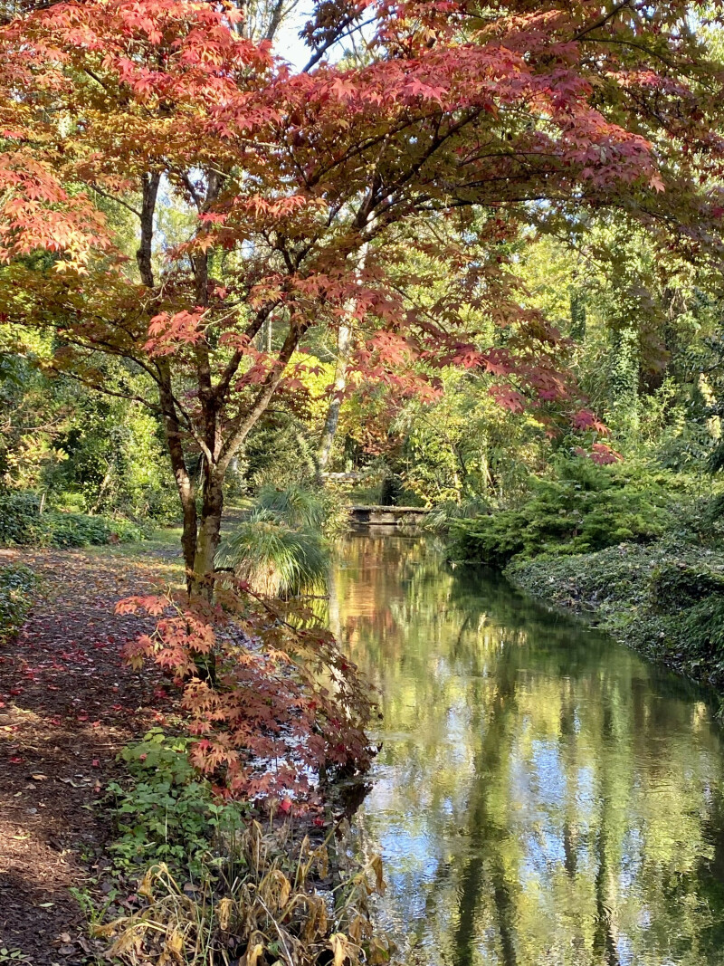 visite libre de l'arboretum
