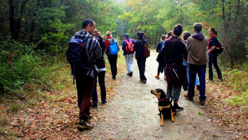 Explorez la biodiversité locale : à la découverte des plantes sauvage avec Nos Deux Mains