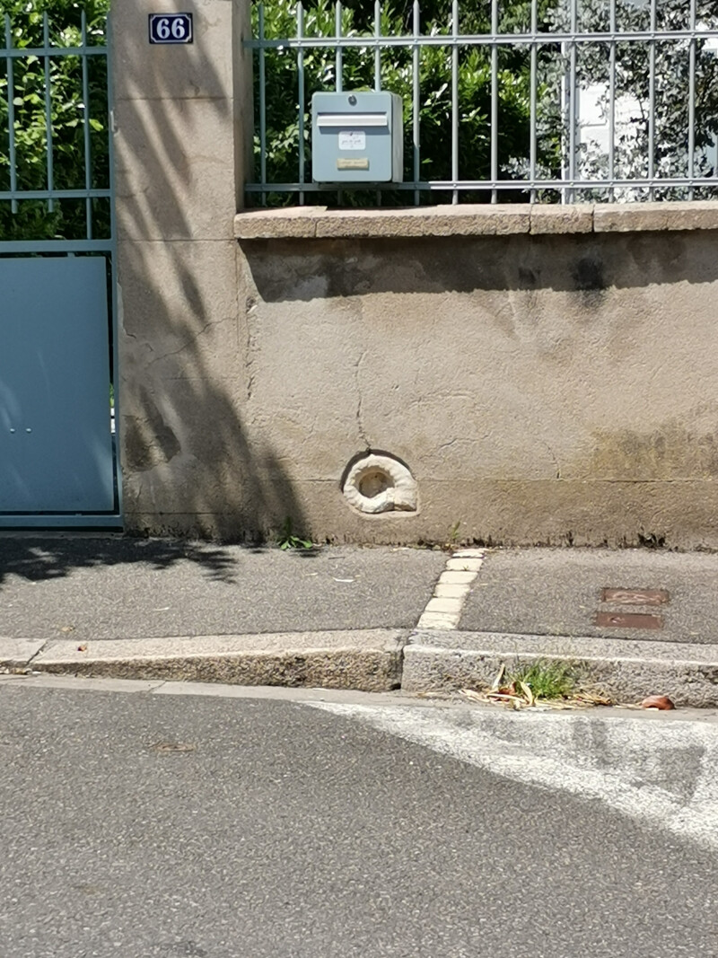 Sur les pas de l'ammonite - Atelier 6/12 ans