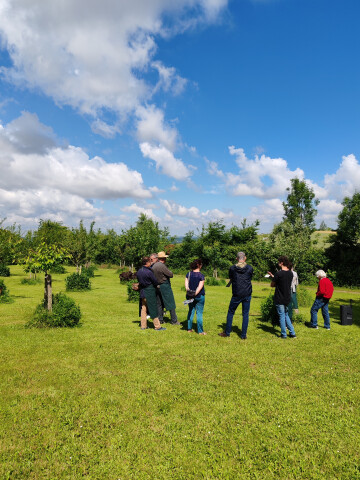 Visite découverte du verger et des vignes de Claracq