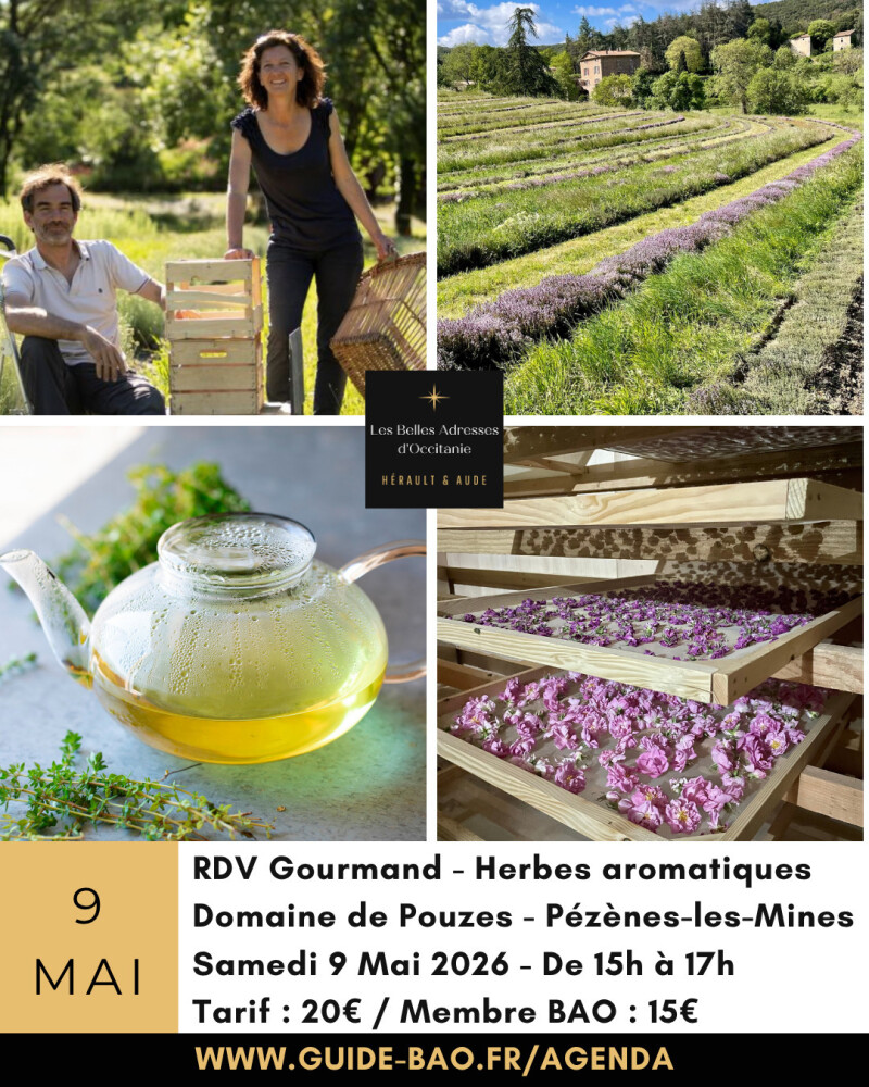 RDV Gourmand plantes aromatiques au Domaine de Pouzes à Pézènes-les-Mines proche Bédarieux