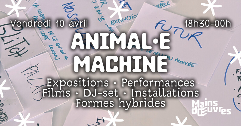 ANIMAL.E MACHINE