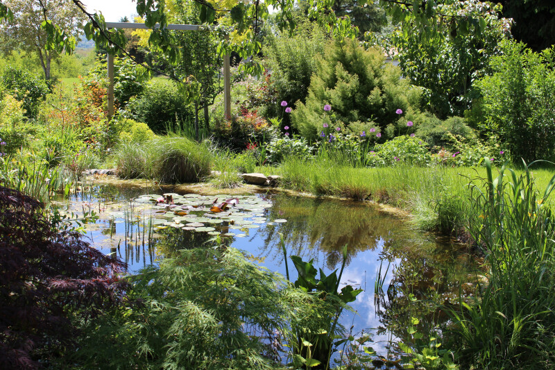 Un jardin à Mauchamp