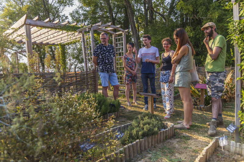 Ateliers d'initiation à la vannerie
