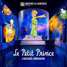 Bassins des Lumières - Le Petit Prince, l'Odyssée Immersive