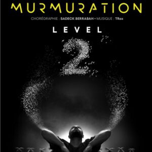 MURMURATION LEVEL 2