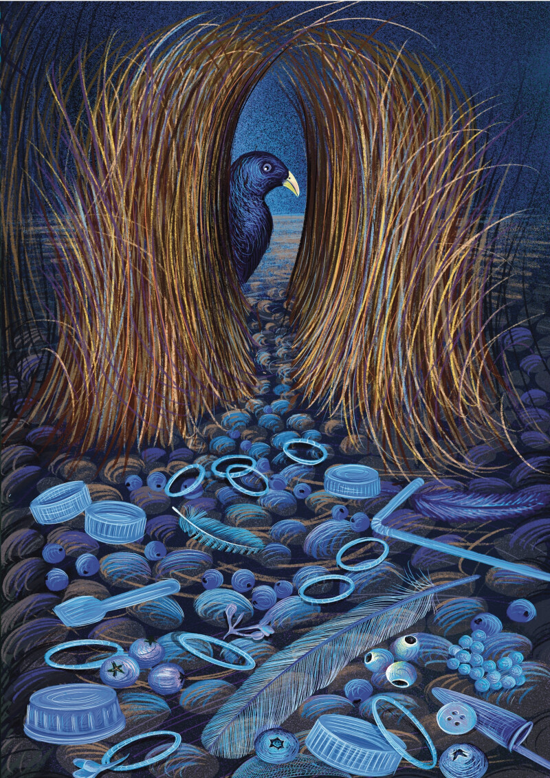 Exposition À la loupe : petites curiosités et collections d'Isabelle Simler