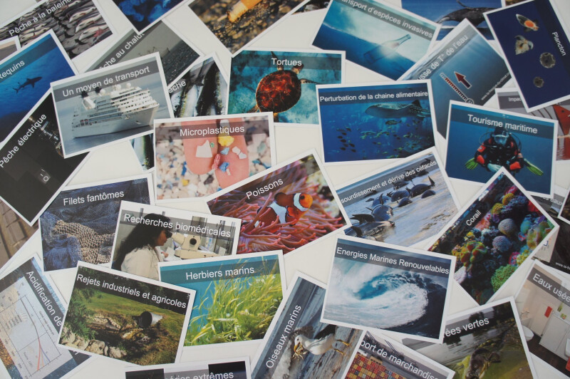 Fresque océane citoyenne avec La Fresque Océane