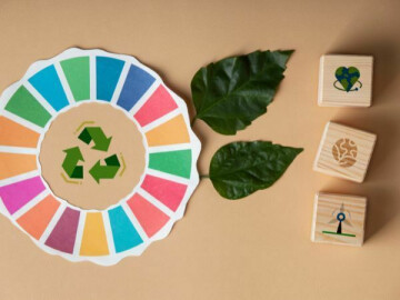 JEUX SUR LE THEME DU DEVELOPPEMENT DURABLE