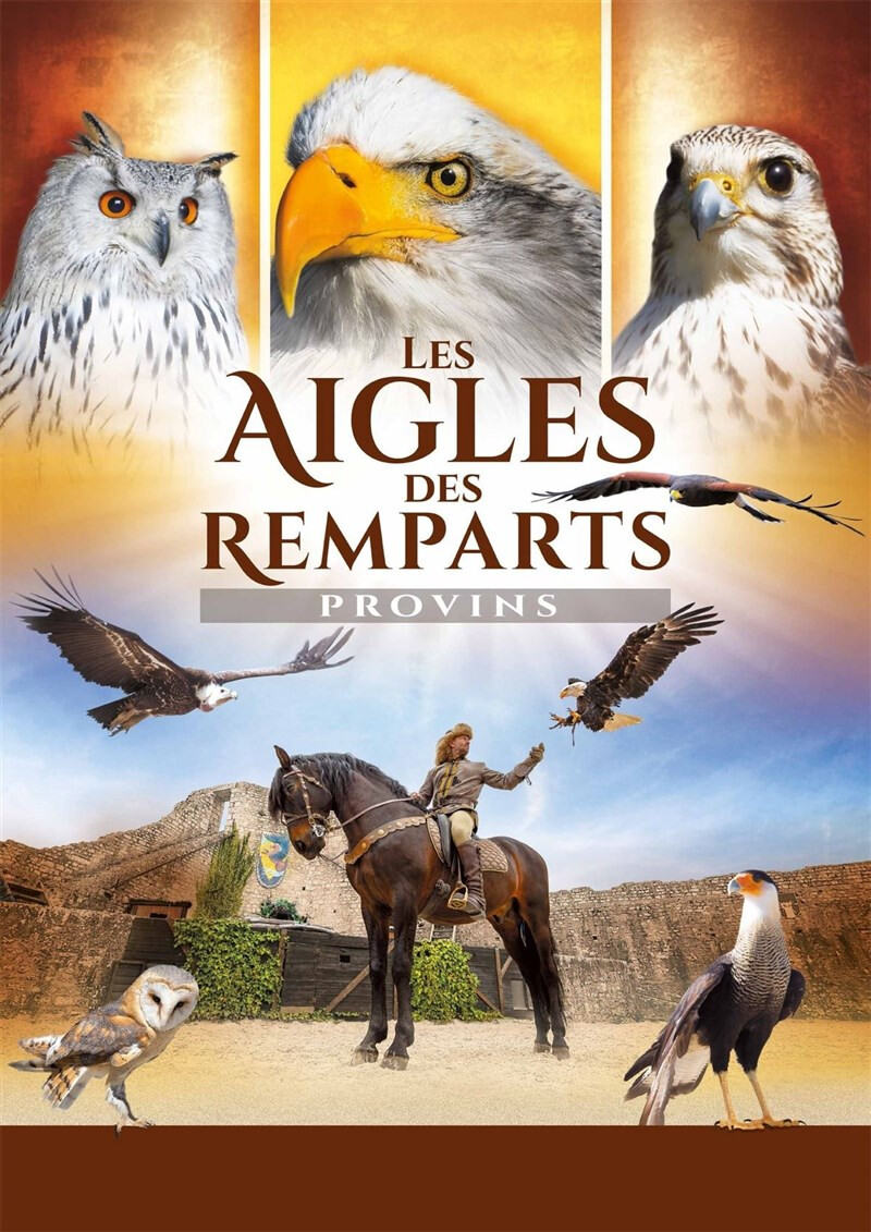 Les Aigles des Remparts