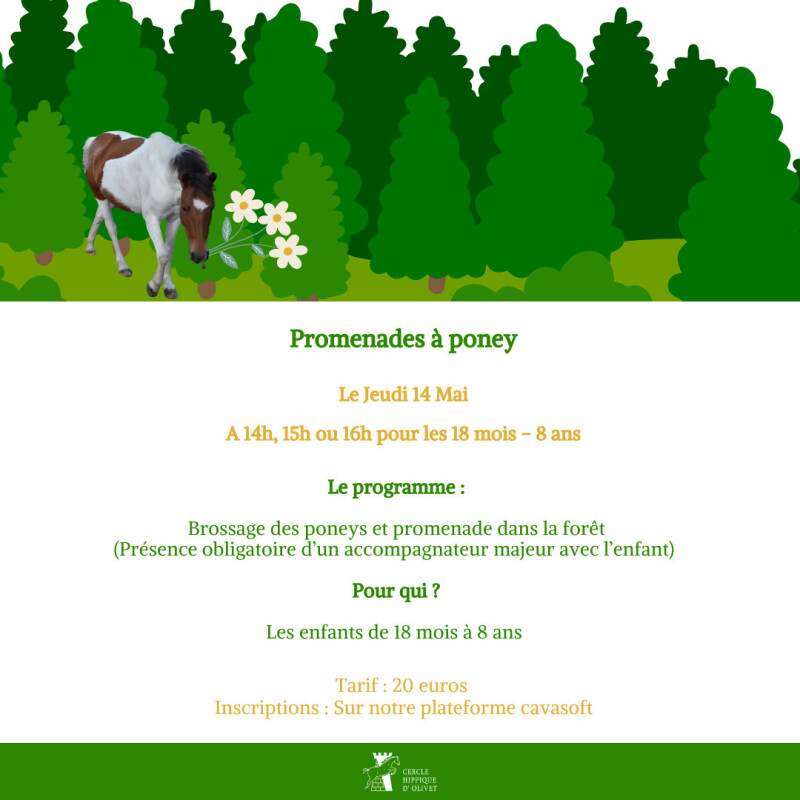 Promenades à poney au Cercle Hippique d'Olivet