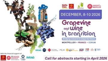 Colloque International Vinid’Occ