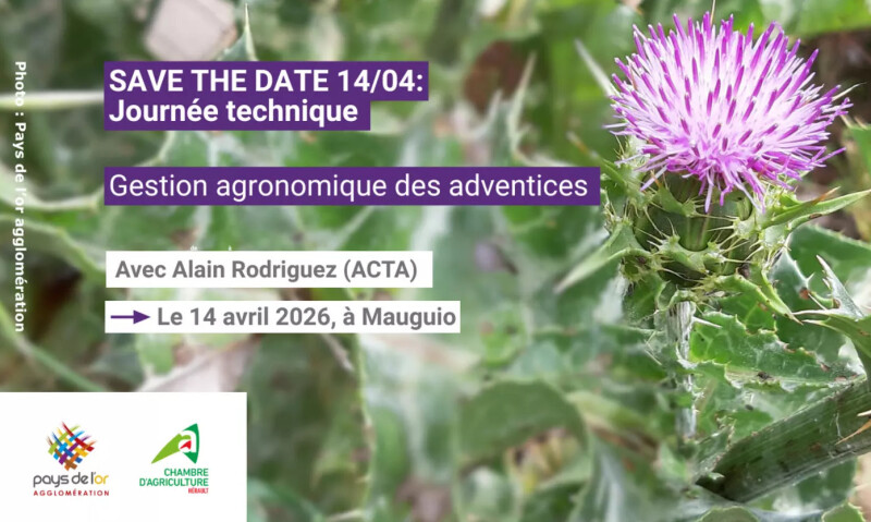 Journée technique – Gestion agronomique des adventices