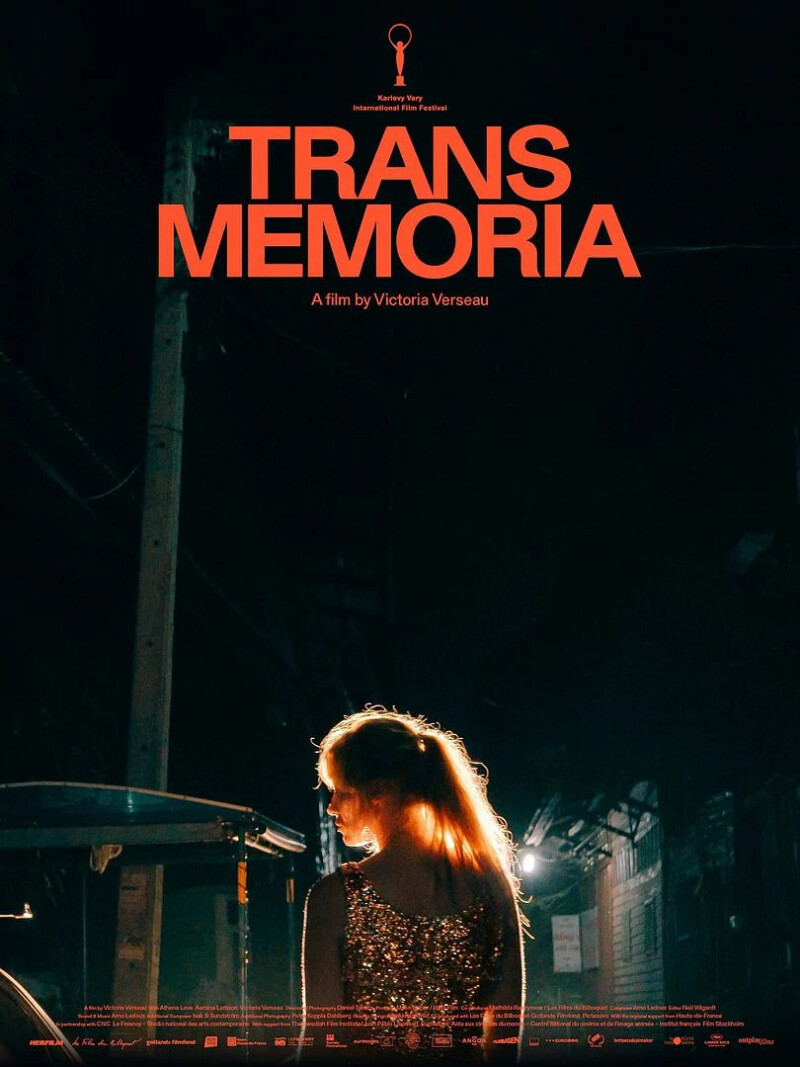 Trans Memoria / Dans le cadre d'Archi'Queer