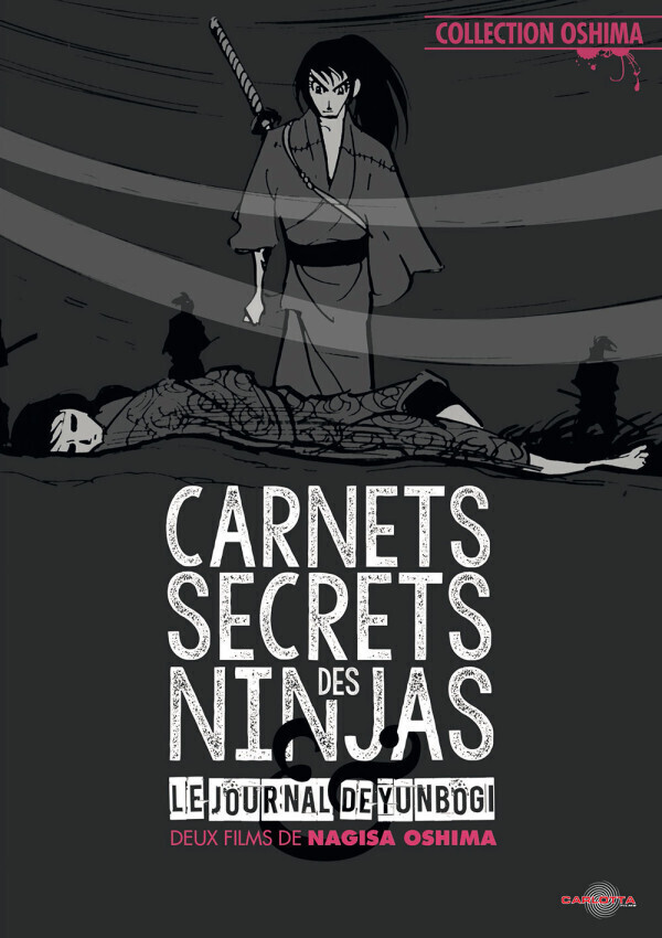 Carnets Secrets Des Ninjas / Présentation de Aurélien Audu