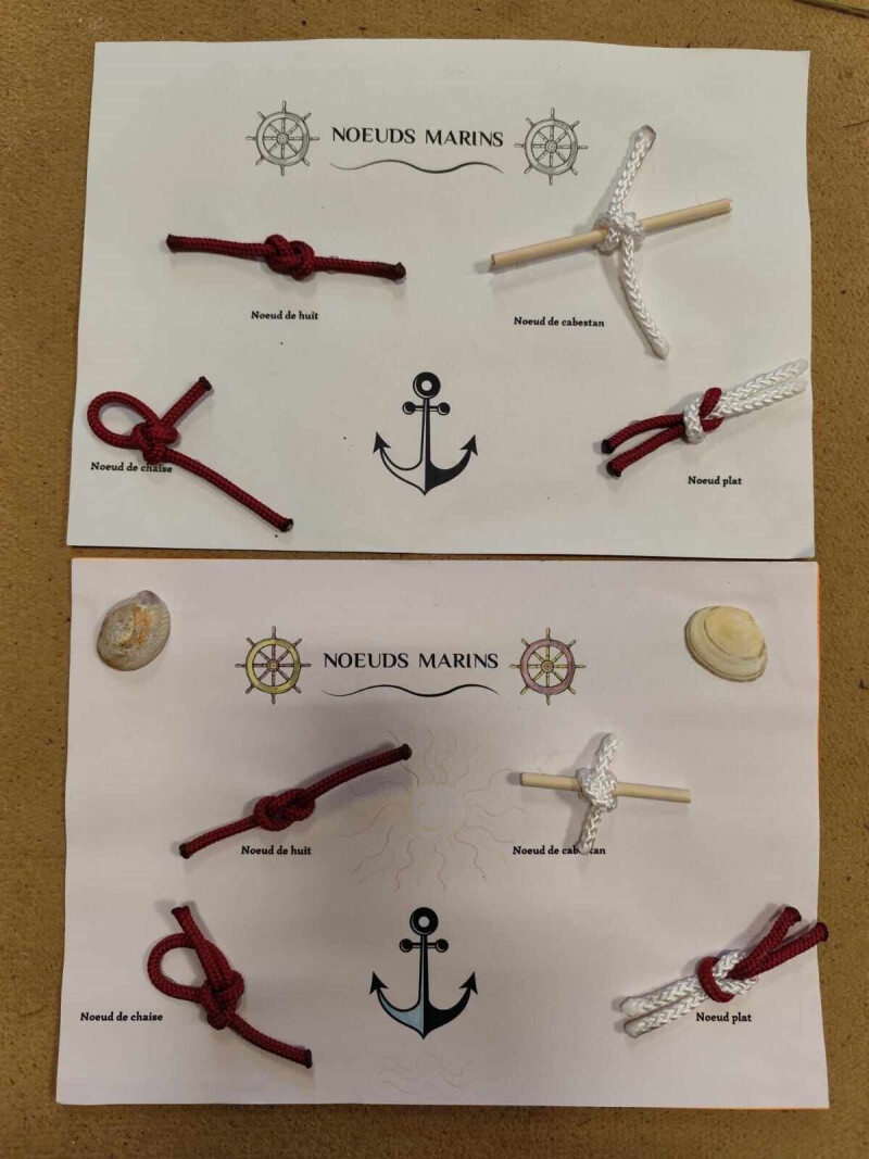 Activité noeuds marins