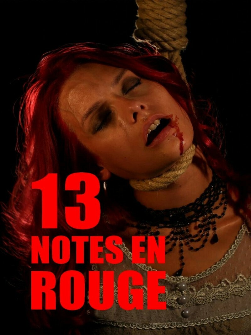 13 notes en rouge / Rencontre avec François Gaillard