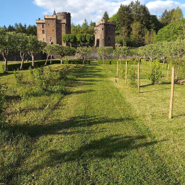 Visite des extérieurs du château