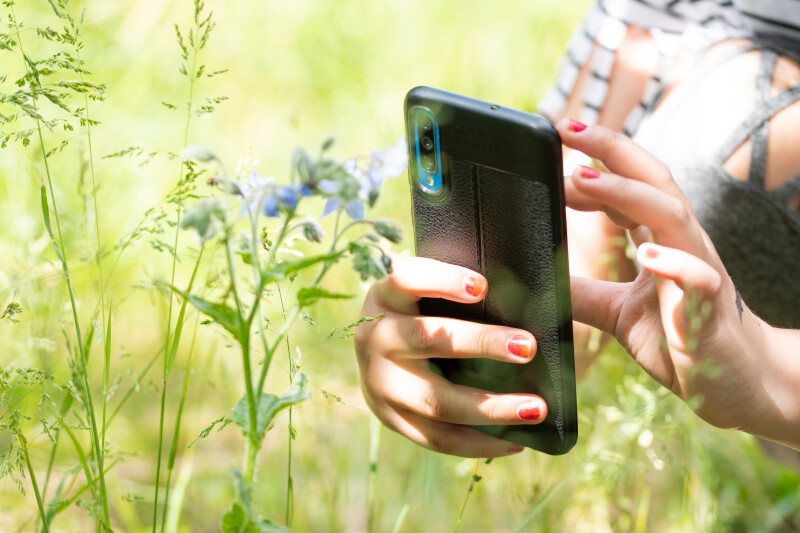 Forêt en Focus : Initiation Photo au Smartphone - spéciale Parents-Ados
