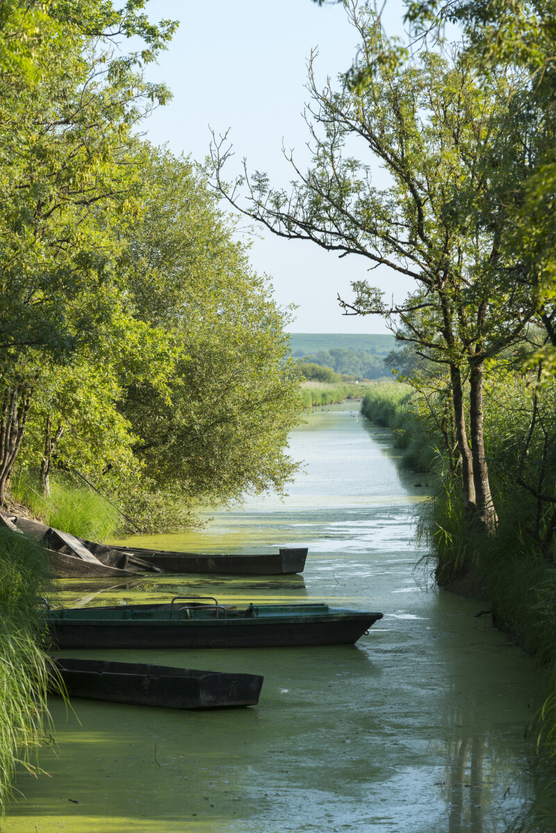 Visite du marais vu du haut du Montru